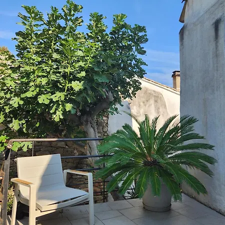 בית נופש Maison Ancienne Minervois La Caunette