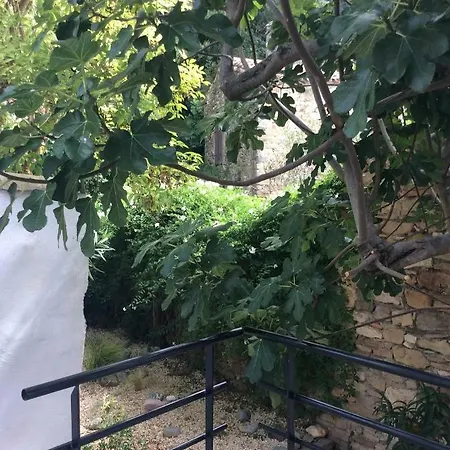 Maison Ancienne Minervois *