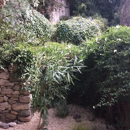 Maison Ancienne Minervois *