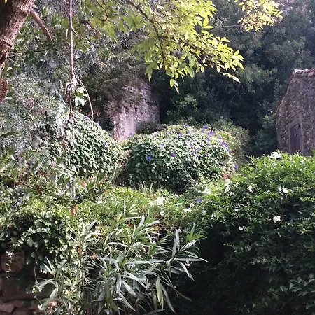 Maison Ancienne Minervois