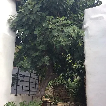 Maison Ancienne Minervois La Caunette